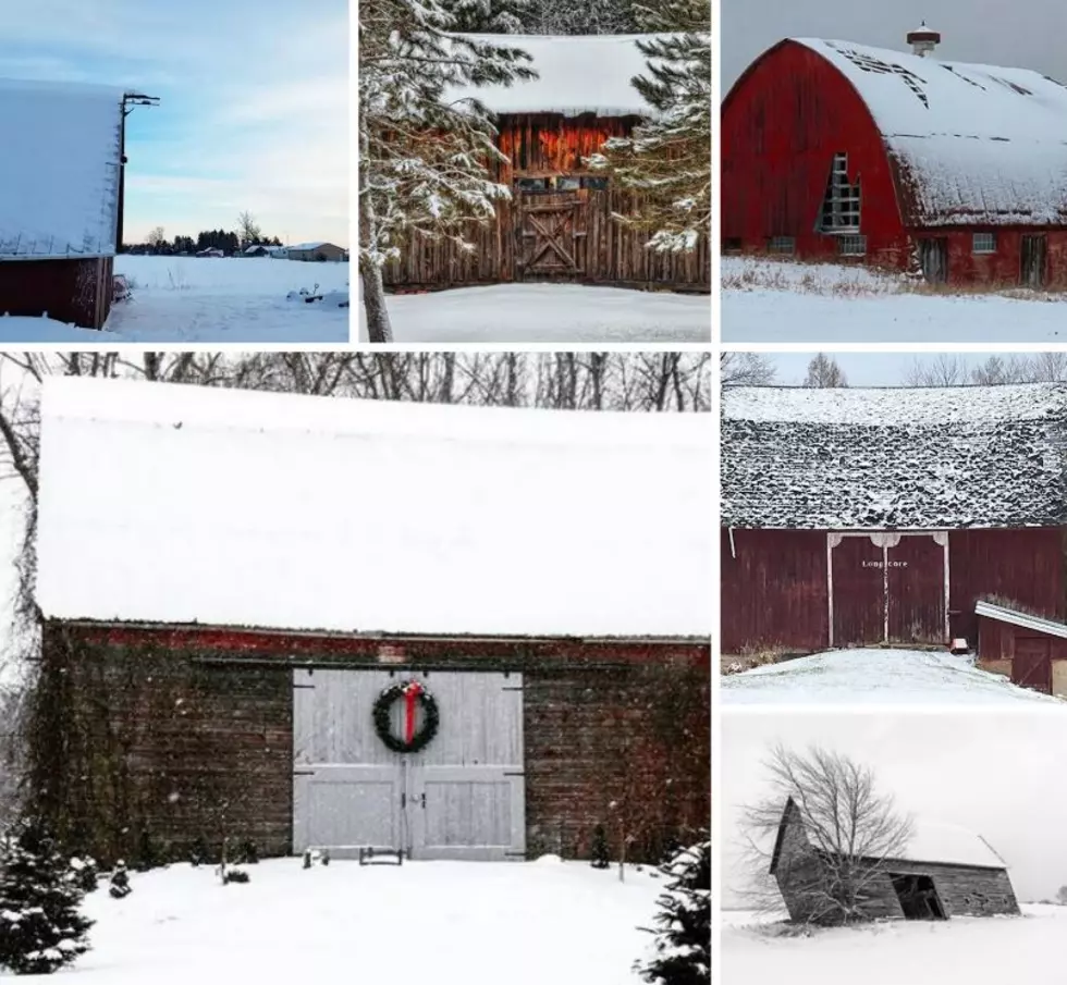  Peaceful Michigan Barn Photos Are Just What We Need Right Now