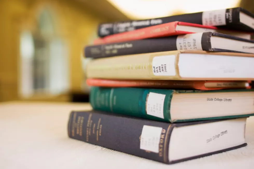 Kalamazoo Public Library Bag-Of-Books Sale