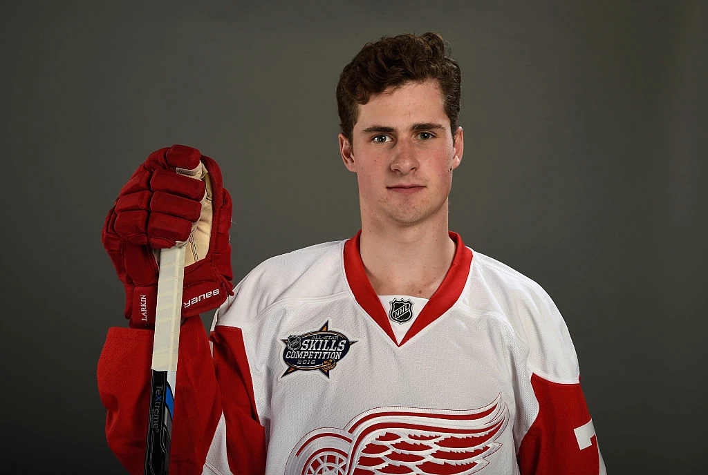 dylan larkin all star jersey