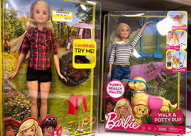 Barbie Dream Camper Getting Recalled!