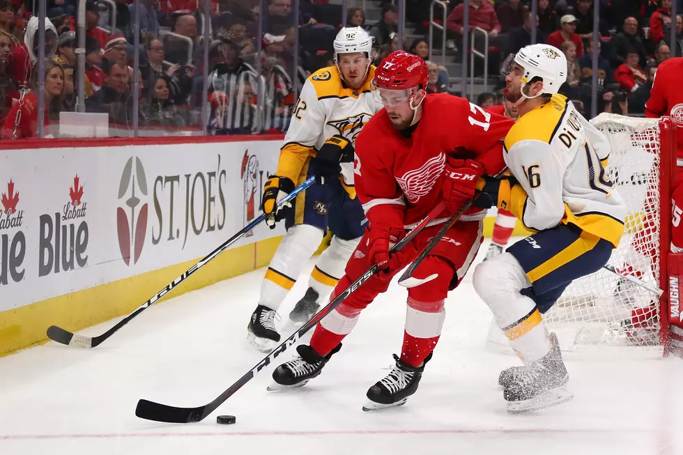 Red Wings Defenseman Named Rookie of the Year by Detroit Sports Media