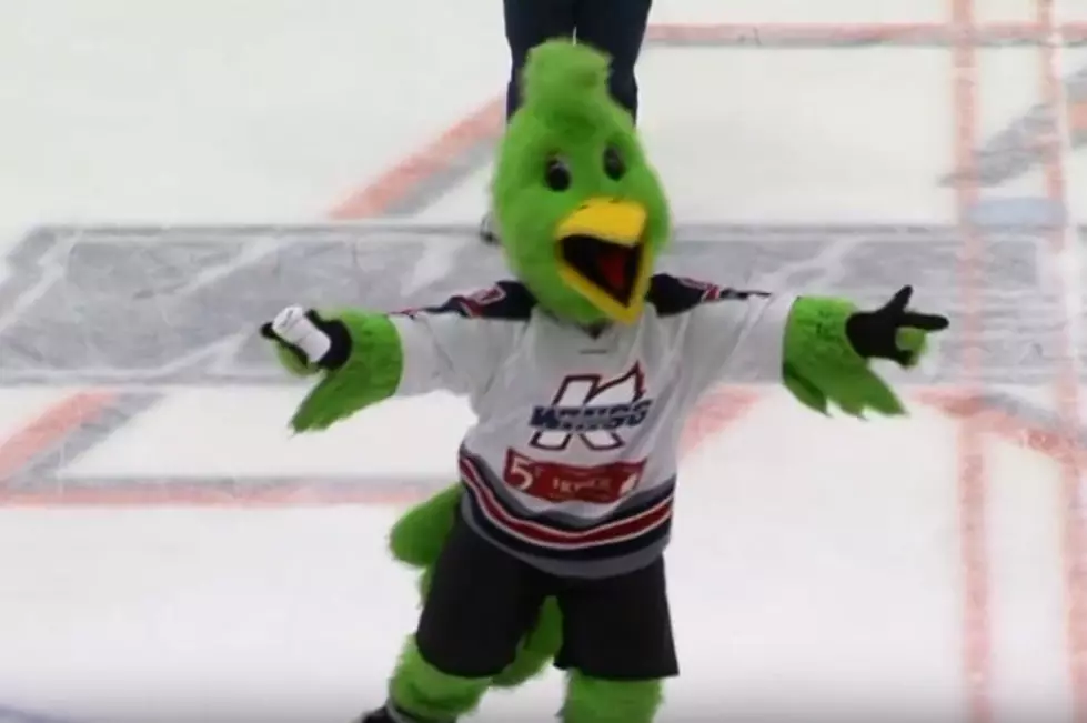 Now Hiring, Kalamazoo&#8217;s Coolest Job: Slappy, the K-Wings Mascot