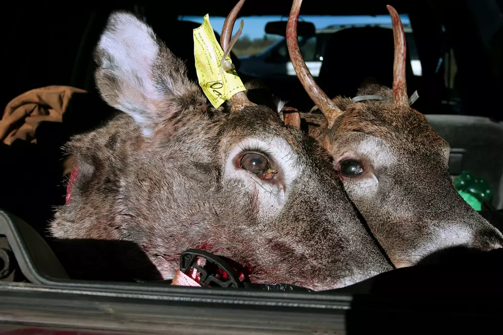 10 Deer Hunting Safety Tips from Michigan DNR You Need To Know