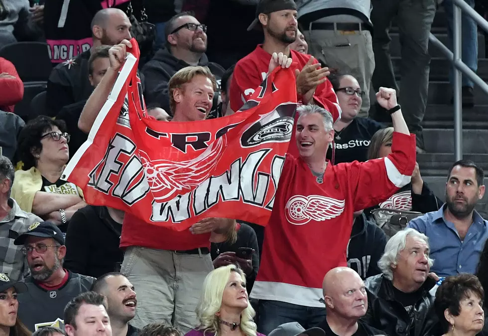 Red Wings fans appreciate view from on high at LCA