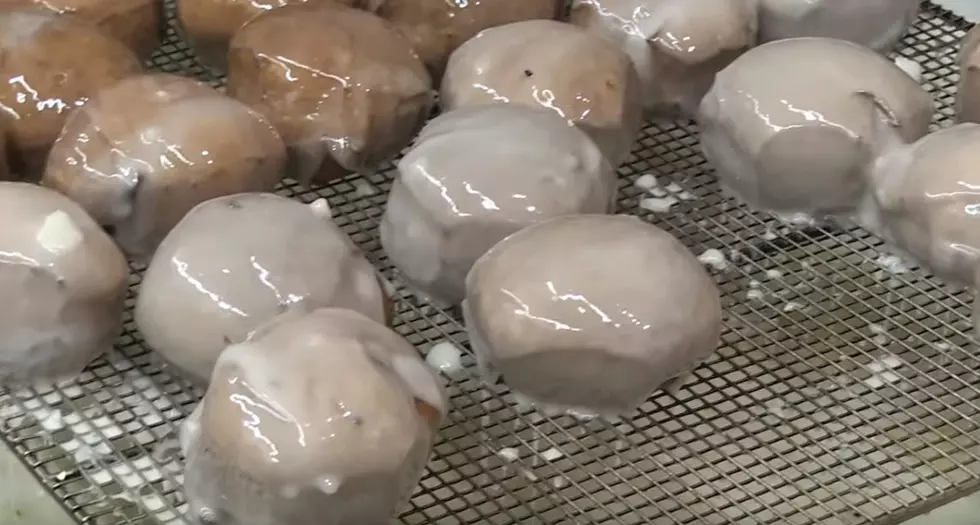 Making Paczki for Fat Tuesday at Sweetwater's Donut Mill [Video]