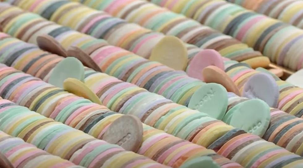 NECCO Wafers Making A Comeback – Why the Interest in Retro Candies?