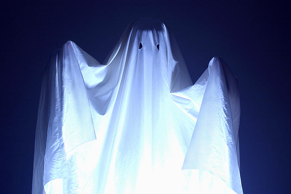 Sick of Being Ghosted? Why Not Just Have Dinner with a Ghost in Allegan?