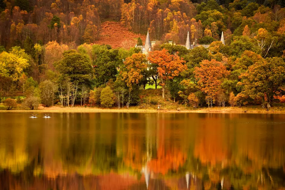 The Great Debate: Fall Vs. Autumn The Season Only Needs One Name