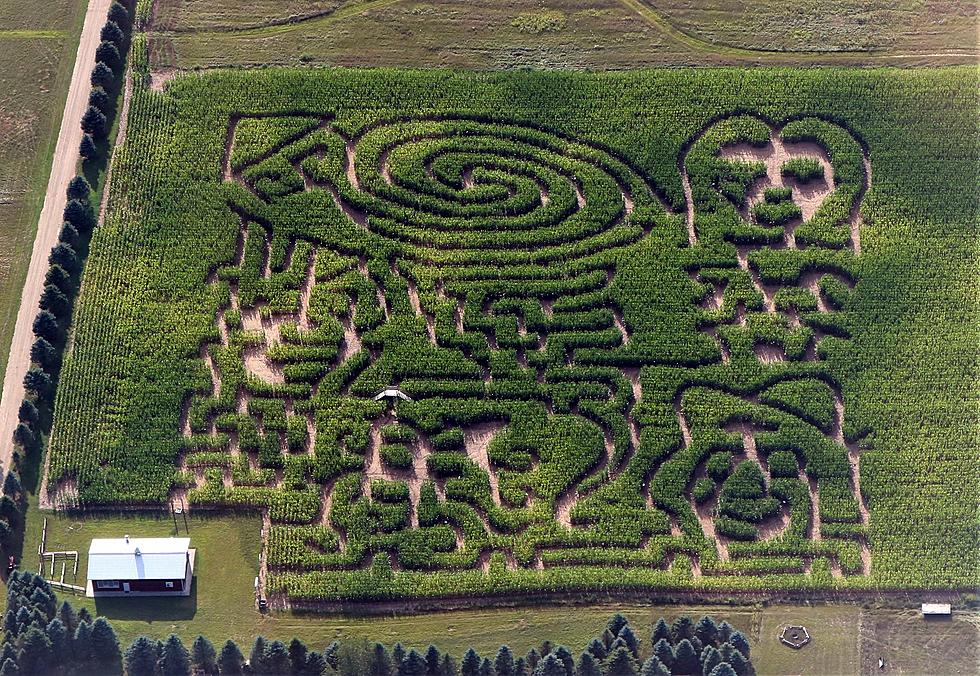 Check Out This Wizard of Oz Corn Maze in Gobles