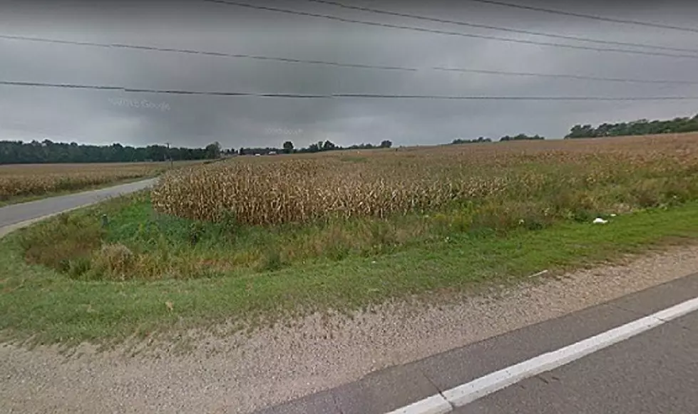 A Massive Meteor Crater Lies Beneath This Cornfield Near Cassopolis, Michigan