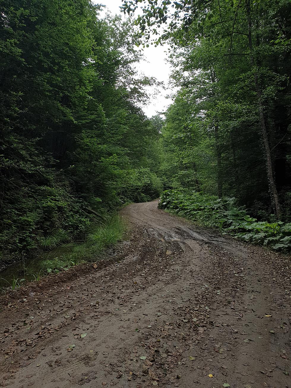 Exploring the &#8216;End of the World&#8217; Trails near Mount Pleasant, Michigan