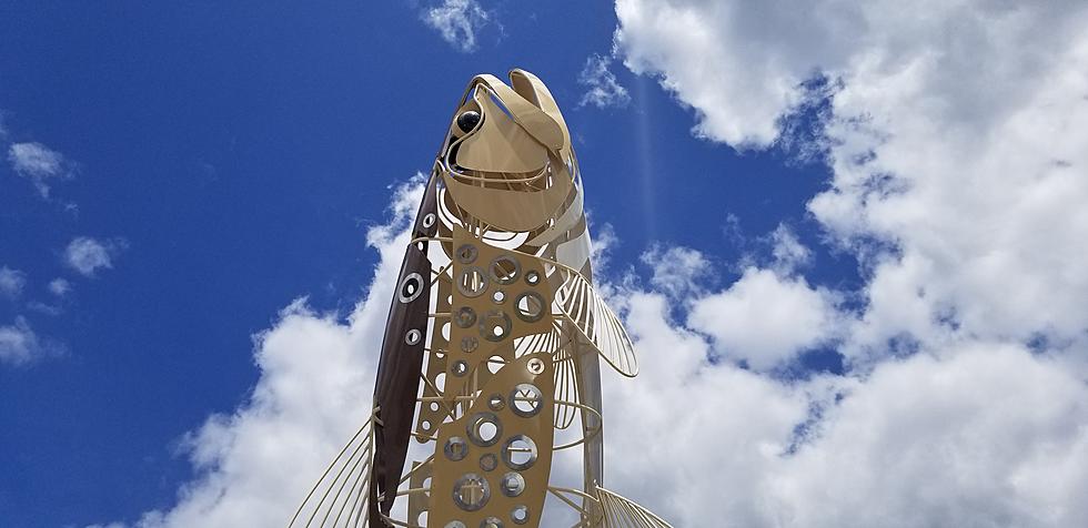 The World's Largest Brown Trout is Mounted in Michigan [Photos]