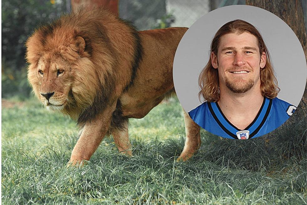 Is This Guy Crazy? Lions Coach’s Request Makes A Great Point