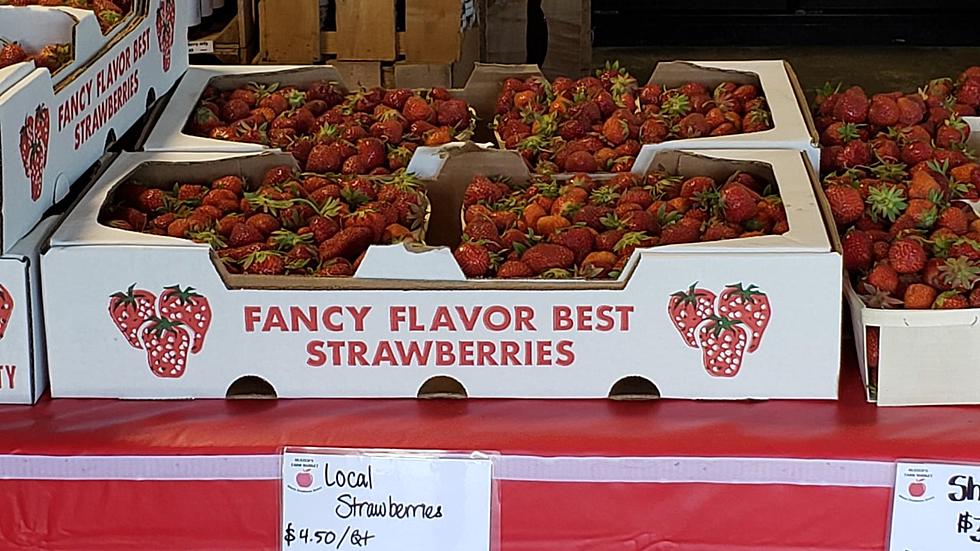 It&#8217;s The Most Wonderful Time of the Year-Strawberry Week