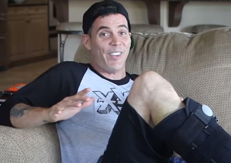 Jackass Steve-O Brings Stand-Up Comedy, Stupidity to Kalamazoo