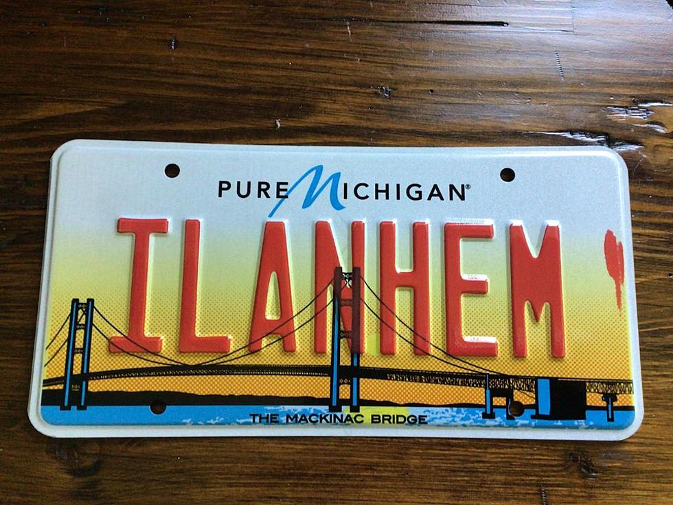 Only the Most Dedicated Collectors Have this Exceeding Rare Color Michigan License Plate