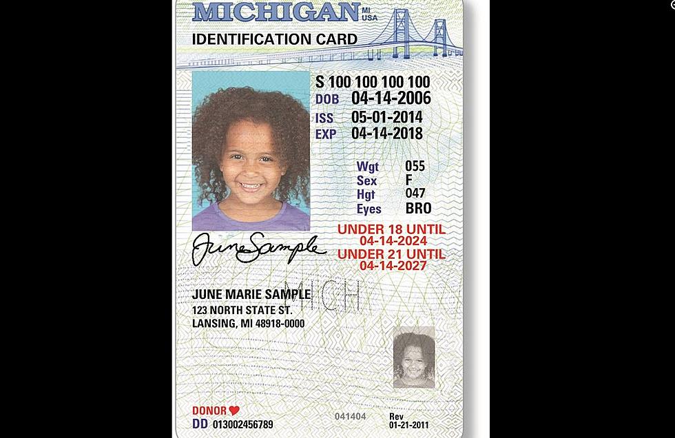 Six Years Later, Michiganders Debate State ID Cards For Kids