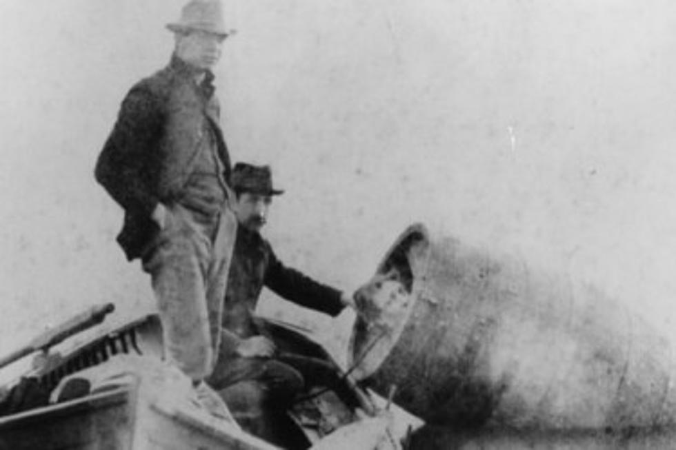 First Person to Survive Niagara Falls in a Wooden Barrel Was A Michigan Woman