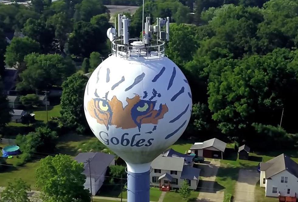 These Are Some of Michigan’s Coolest Water Towers