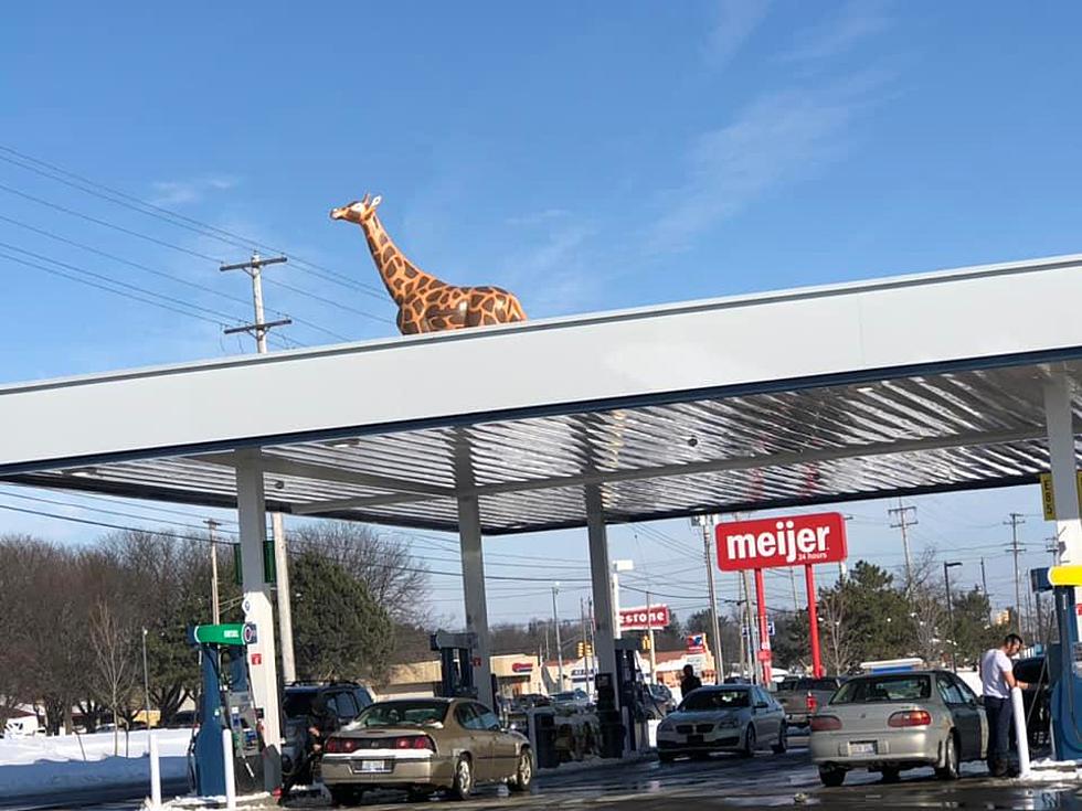Can Someone Explain The Giraffe On Top of This Lansing Gas Station?