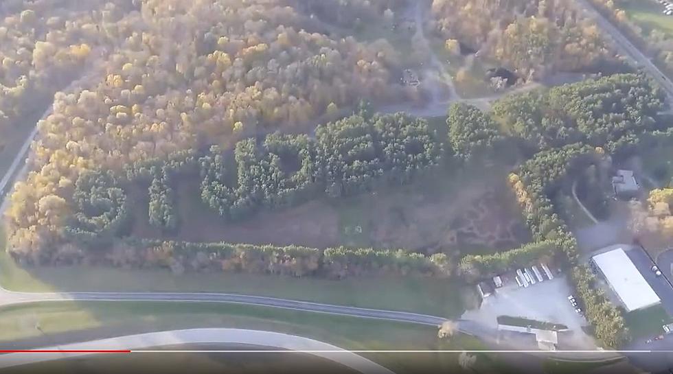 Gimme An 'S'. In This South Bend Park, What Do Those Trees Spell?