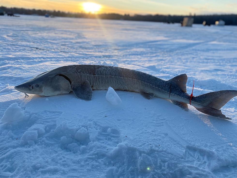 Michigan&#8217;s Fastest Fishing Season is Over in just 36 Minutes