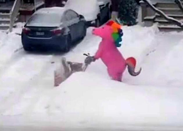 The Tradition of Snow-blowing In A Unicorn Costume Still Strong In Ohio