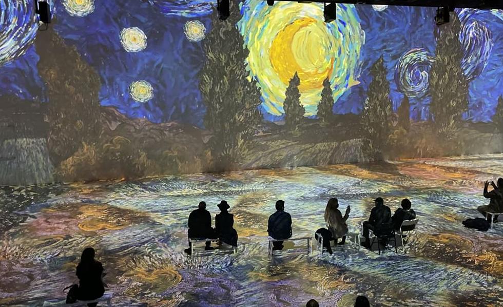 Van Gogh Exhibit Coming to Grand Rapids: Why You Should Wait