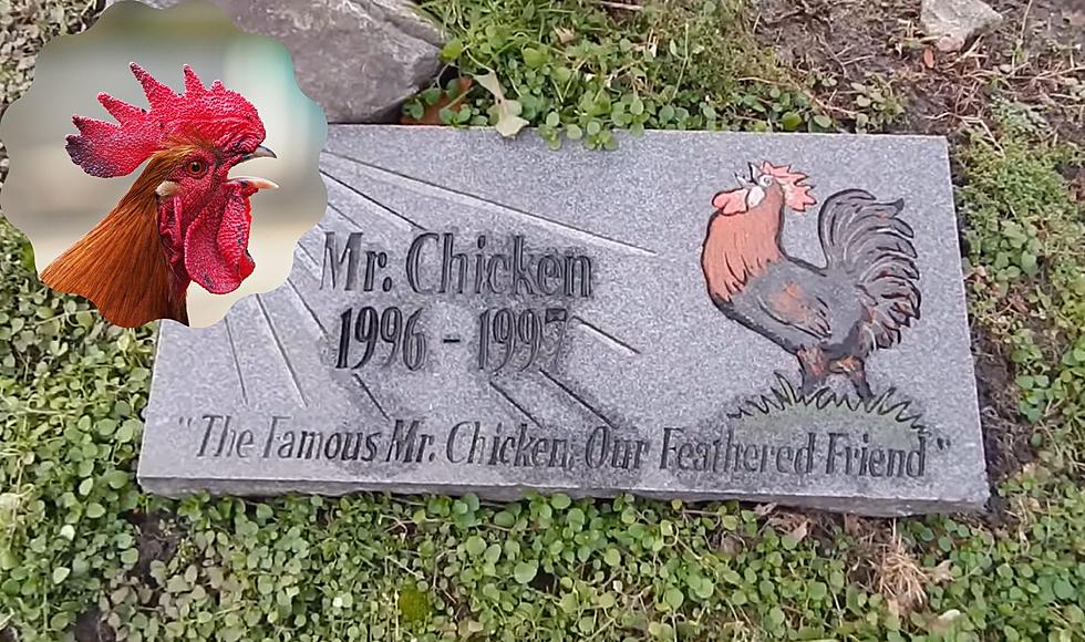 The Strange Story of Jackson, Michigan's Mr. Chicken