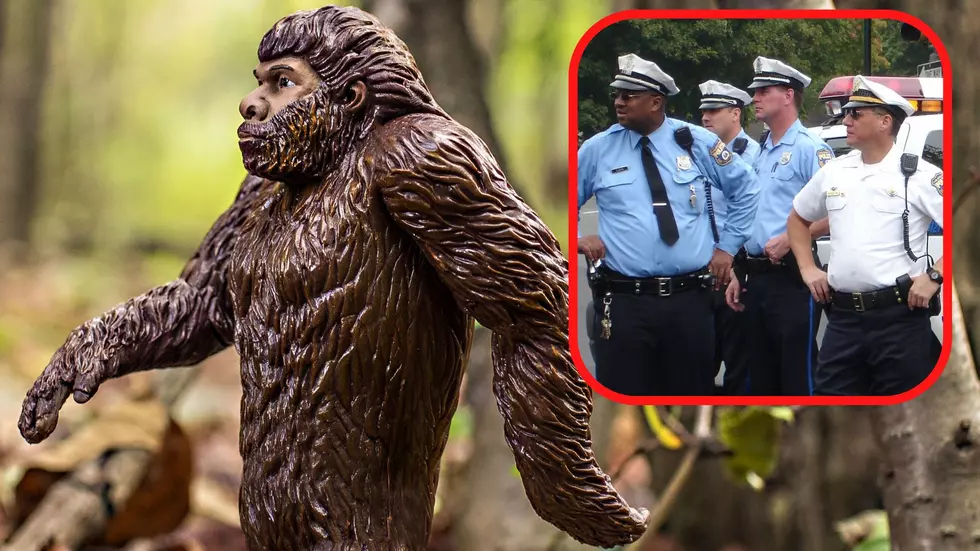 Bigfoot Encounter Leaves Man in Shock