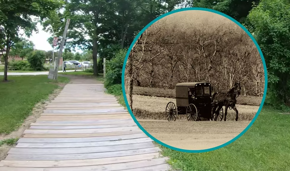 Evidence Still Remains of Michigan’s Wooden Highways