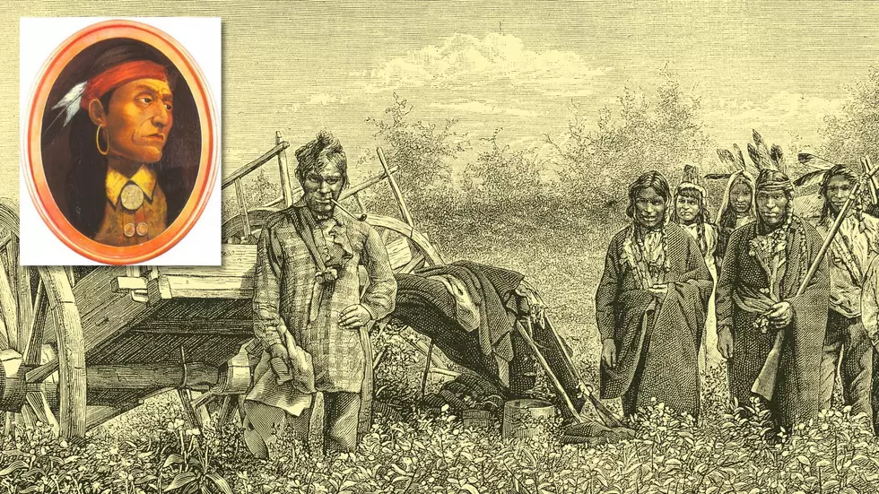 Who Were The Indigenous Tribes Of Michigan?