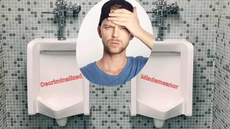 Well, The State Might Repeal Kalamazoo’s Decriminalization Of Public Urination & Defecation