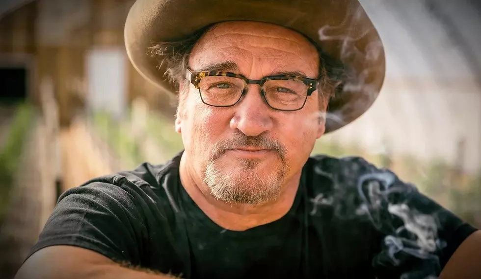 Jim Belushi Brings 'Blues Brothers' Marijuana Product To Michigan