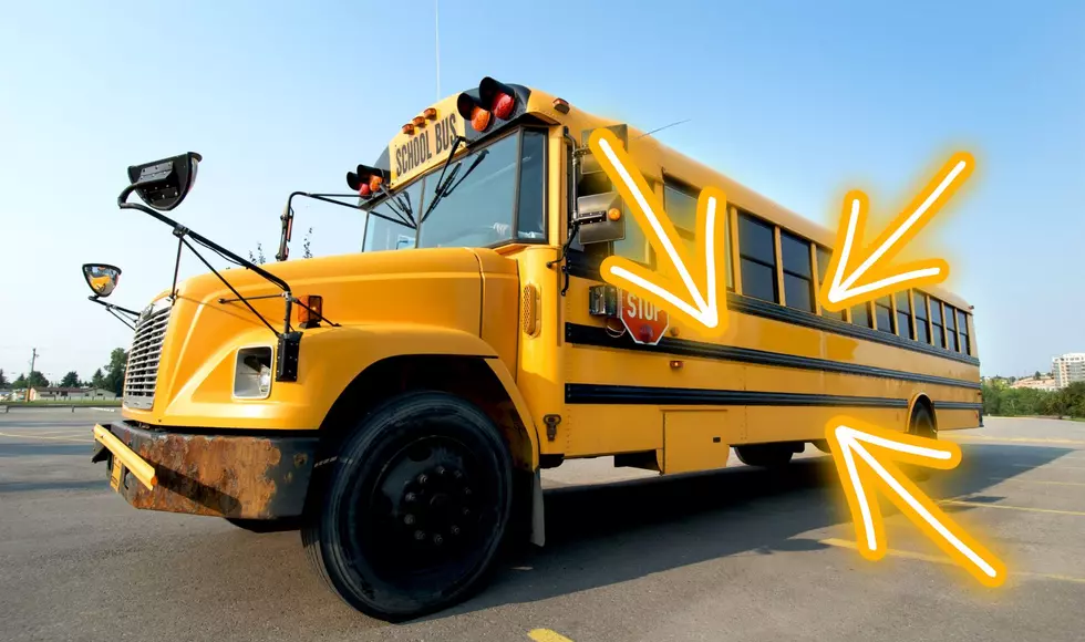 3 Bars On Michigan Originated School Buses Help Add Structure To Bus