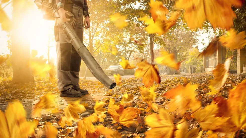Do you burn, bag, mulch, or mow your leaves in the fall?