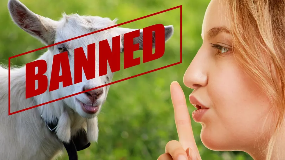 'GOAT' And Nine Other Words 'Banned' for 2023