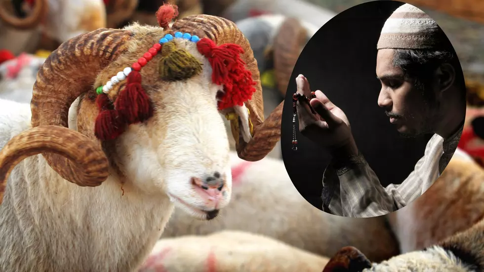 Hamtramck, Michigan Legalizes Animal Sacrifice