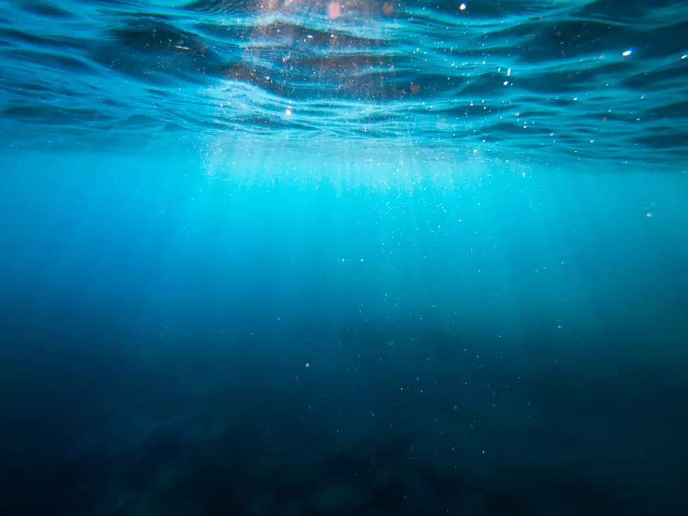 25-Foot Sea Creature Once Prowled the St Joseph River Near Union City, Michigan