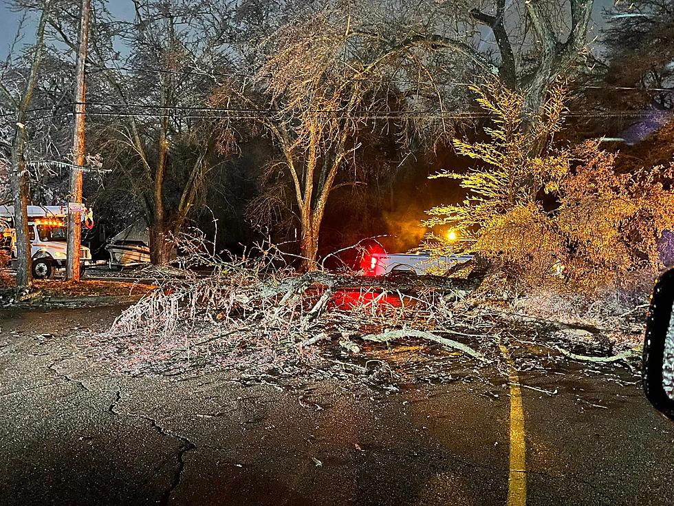 West Michigan Ice Storm Brings Beauty & Carnage To Kalamazoo