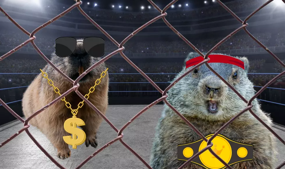 Michigan Woodchuck Woody Predicts Early Spring On Groundhog Day