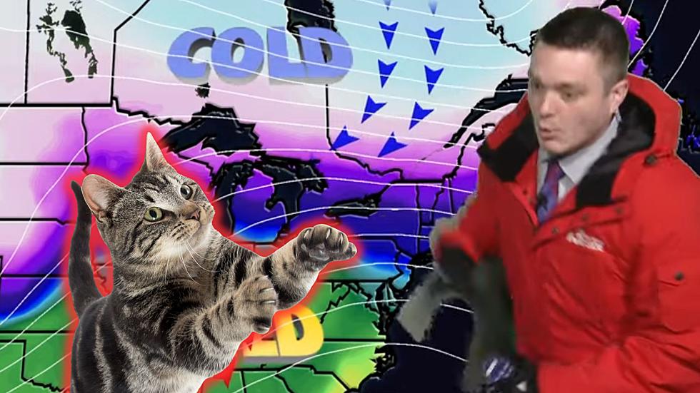 West Michigan Weatherman Scared By Cat During Live Broadcast