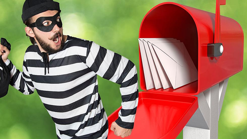 Why Would Someone in Southwest Michigan Steal Mail in 2023?