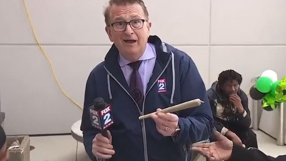 'Hit It Charlie' - Fox 2 Reporter's 420 Segment Gets High Ratings