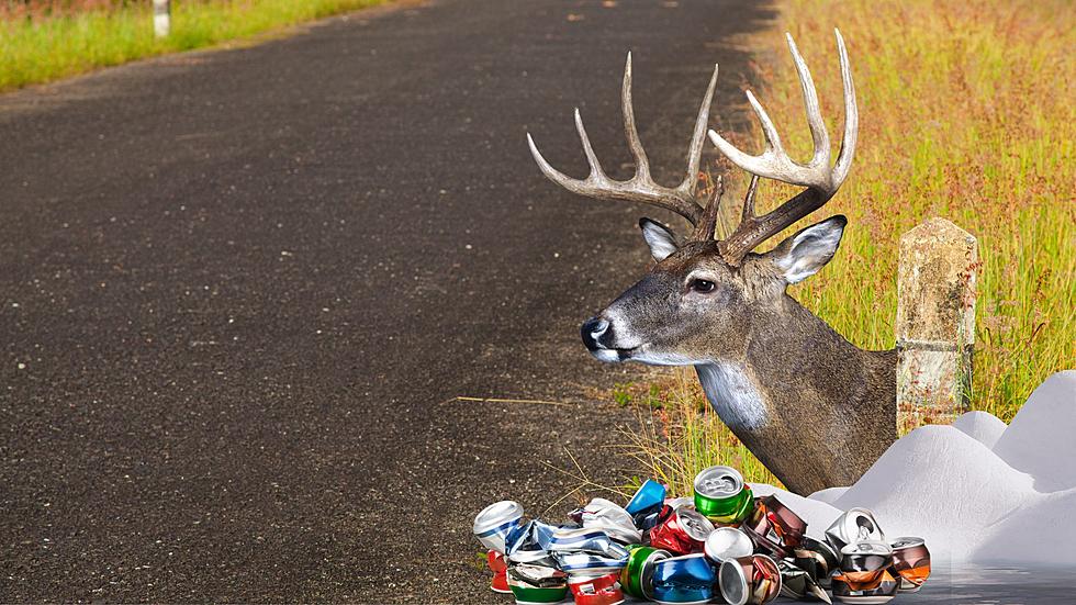 Ten Odd Things You&#8217;d Find On the Side of the Road in Michigan