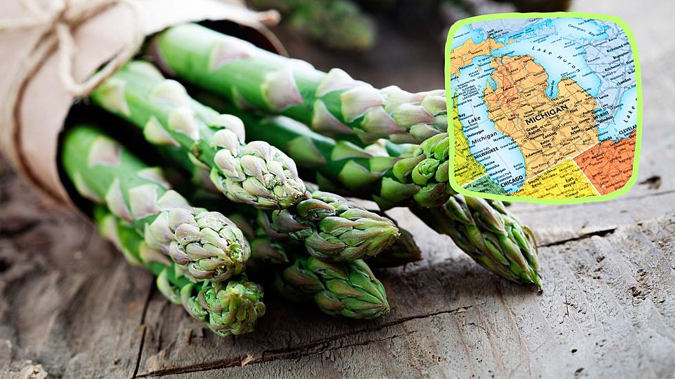 Nearly All of America's Asparagus Is Grown in Michigan
