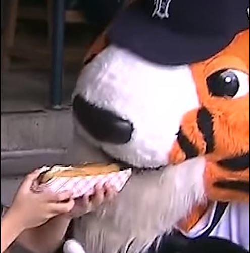 Tigers' Paws Gives Young Fan New Hot Dog After Dropping One