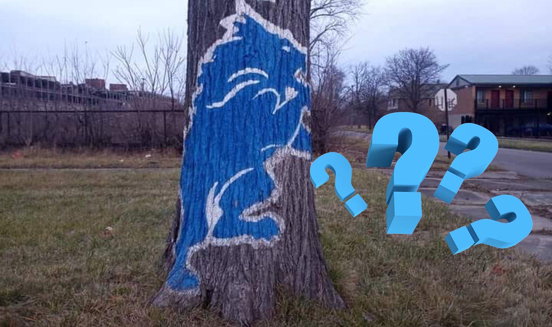 The Meaning of A Detroit Lions Logo Spray Painted On A Tree