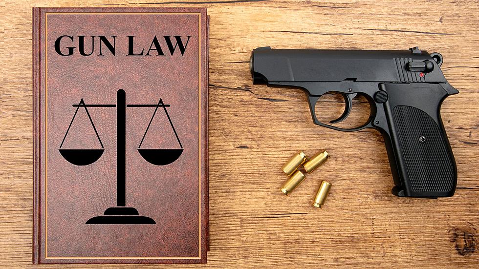 Illinois Just Changed Their Gun Laws – Is Michigan Next?