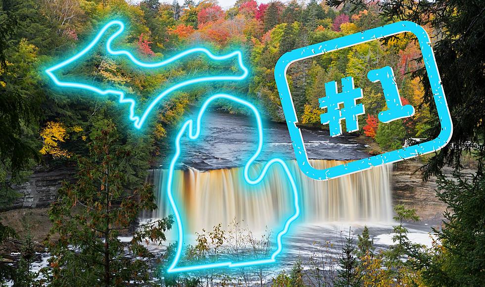 Michigan Has Been Declared The Best Shaped State